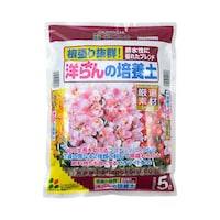 �Ԃ�����@�m���̔|�{�y�@�T�k�~�W�ܓ��@�P�O�S�W�O�@�P�O�S�W�O�@�P��