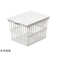 �T�[���T�C�G���e�B�t�B�b�N�@�I�[�g�N���[�u�p�o�X�P�b�g