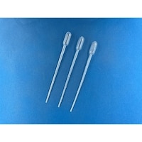 �O���[�o���T�C�G���X�@�X�|�C�g�O�D�T���k