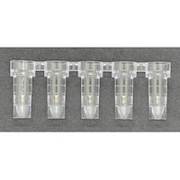 �O���[�o���T�C�G���X�@�T�A�����p�T���v���J�b�v�@�U�O�O�@�T�P�Q�P�R�@�T�P�Q�P�R�@�P��