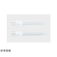 �T�[���T�C�G���e�B�t�B�b�N�@�`�b�v�@�`�q�s�@�P�O�O�O�w�k�@�k�q�@�����[�h�^���[�@�i�T�U�`�b�v�~�T�g���C�j�~�Q�Z�b�g�@�P���i�T�U�{�~�P�O���b�N���j�@�R�P�O�Q�O�T�q�s�@�R�P�O�Q�O�T�q�s�@�P��