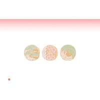 �J�~�C�\�Y���@�ڂR�@�e�[�u���}�b�g