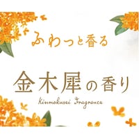 白元アース ミセスロイド防虫カバー