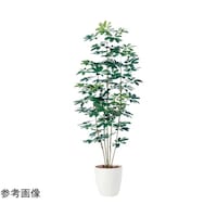 アズワン シェフレラ 人工樹木 フェイクグリーン 人工観葉植物 高さ150cm 61798961 61798961 1台