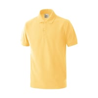 �}�X�_�@�u�o�S�T�P�@�ȍ����傤���񑳃|���@�N���[���C�G���[