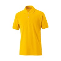 �}�X�_�@�m�d�n�R�Q�P�r�@�ȂP�O�O���傤���񑳃|���@�C�G���[