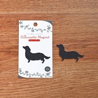 ���m�����H�Ɓ@�}�O�l�b�g�@�_�b�N�X�t���h�~�P�O