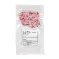 ��쒉�@�y�Ⓚ�z�r�`�@�Ⓚ���̉Ԃl�T�@�P�O�O�ԓ���