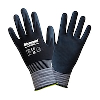 �P�C���[�N�@�V�R�S���@�O���[�u�f�B�b�N�}���@�v��