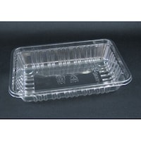 リスパック フルーツ容器 エコフルーツ E300 浅 1袋(100個入) FATW288 FATW288 1袋