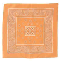 �A�[�e�b�N�@�o���_�i�@�I�����W�@�P�S�U�R�@�P�S�U�R�@�P��