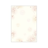 �T�T�K���@�a������@�}���@�S�P�O�Q�O�@�S�P�O�Q�O�@�P��