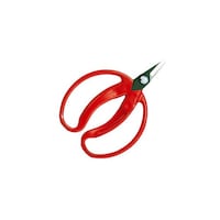 �A���X�@�݂���̎���