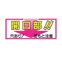 �c�N�V�H�[�@�W���@�u�J�����I�I������I�����ƒ��Ӂv�@�S�U�b�@�S�U�b�@�P��