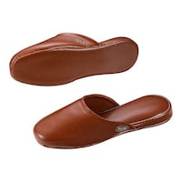 TKG 抗菌スリッパ L ブラウン SSK5151 SSK5151 1足