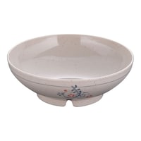 �֓��v���X�`�b�N�H�Ɓ@�����~���u�����v�ϕ��o�@�g�@�l�R�O�P�j�@�l�R�O�P�j�@�P��