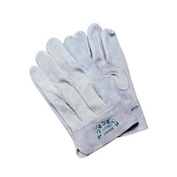 �y���M���G�[�X�@�s�g�S�O�P�@���Y���v��܁@�w�D