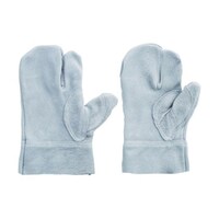 �x�m�O���[�u�@���ʋ����v��܁@�m���D�W�@�k�@�R�w�@�P�T�P�T�@�P�T�P�T�@�P�o