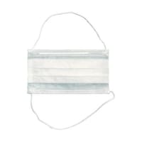 エフピコ ディーププリーツマスク2PLY頭かけ2W RM2L RM2L 1箱