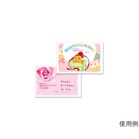 サンワサプライ インクジェットプリンタ用紙 厚手 A6 JPAGA6 JPAGA6 1セット