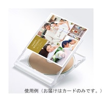 �T�����T�v���C�@�v���P�[�X�p�C���f�b�N�X�J�[�h