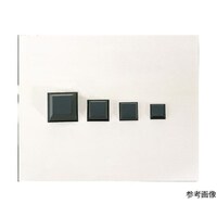 �^�J�`�d�@�H�Ɓ@�r�i�o�^�|���E���^�����n���t�p�S�����i�P�O���j�@�r�i�o�T�O�Q�R�@�r�i�o�T�O�Q�R�@�P��