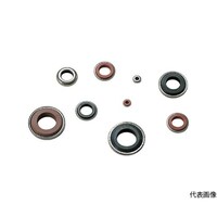 �^�J�`�d�@�H�Ɓ@�V�[�������@�K�p�l�W�F�l�P�O�@�r�y�P�O�m�@�r�y�P�O�m�@�P��