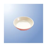 国際化工 11cm深皿