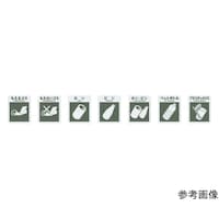 �j�`�v�`�i�t�m�@���ʃV�[��