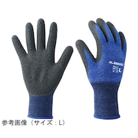 �G�[�X�@�V�R�S���w�������