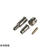 �q�e�@�����@�e�l�d�@�X�g���[�g�@�W���b�N�@�T�O���@�P�P�R�R�V�T�T�Q�O�@�P�P�R�R�V�T�T�Q�O�@�P��