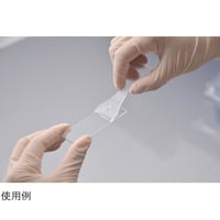 �i�t�k�`�a�n�@�f�B�X�|�w���@�T�O���@�T�W�P�S�O�O�O�P�@�T�W�P�S�O�O�O�P�@�P��