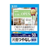 サンワサプライ インクジェットファイン用紙 JPEM2NA4N2 JPEM2NA4N2 1セット