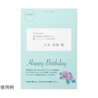 �T�����T�v���C�@�C���N�W�F�b�g�v�����^�p�������x���@�i�o�s�`�P�O�`�m�@�i�o�s�`�P�O�`�m�@�P�Z�b�g