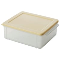 スケーター 食パン冷凍保存ケース ベーシック11 SBR2 SBR2 1個