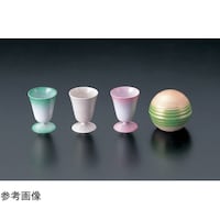 福井クラフト タイザーカップ