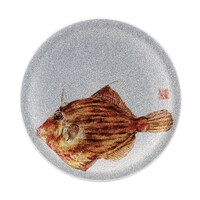 福井クラフト A150寿司皿