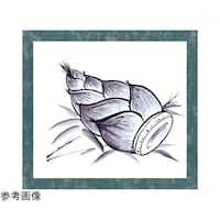 �A�[�e�b�N�@���n��l�Z�b�g�@�W���䎆�t�@�P�Q�U�T�X�@�P�Q�U�T�X�@�P�Z�b�g