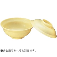 �_�C���@�؎M