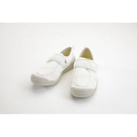 �����Y�Ɓ@�����z�X�s�^���V���[�Y�@�R�d�@�Б�