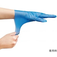 �d�a�t�m�n�@�G�u�P�A�V���L�[�O���[�u�@������@�u���[