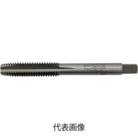 �h�r�e�@���[�g���˂��p�^�b�v�@�l�Q���O�D�S�@�m���P�@�l�Q�O�S�m�n�P�@�l�Q�O�S�m�n�P�@�P��