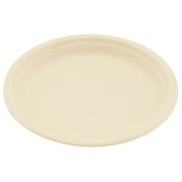 大黒工業 未晒しバガス プレート φ15cm(50枚入) 2125840 1箱