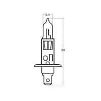 �X�^�����[�d�C�@�n���Q���d���@�P�Q�u�T�T�v�@�g�P�@�P�S�O�P�U�P�@�@�P�S�O�P�U�P�@�P��