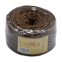 �^�J�V���[�@������G�R�����h�R�����~�P�O�O��