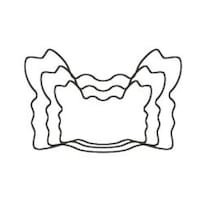 カンダ たかもりの生抜 カニ