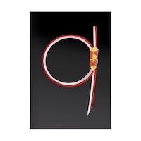 ヤマコー 水引重箱飾り・紅白輪のし 朱 26033 26033 1個