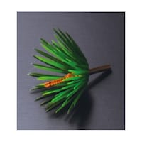 ヤマコー グルメ松飾り (50ヶ入) 38440 38440 1セット