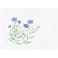 ヤマコー 四季彩鮮度保持紙