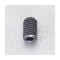 岩田製作所 六角穴付止ねじ